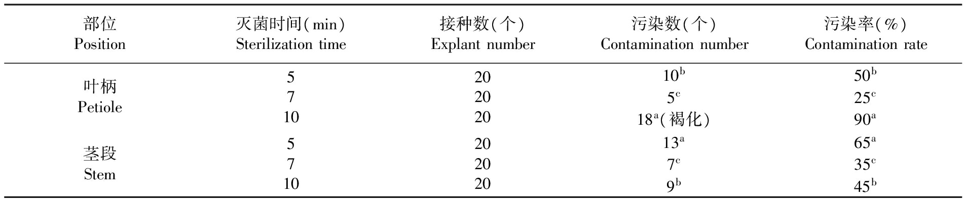 植物組培設(shè)備